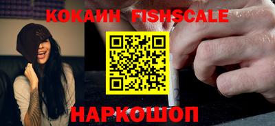 стаф Дубна