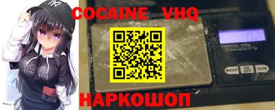 стаф Дубна