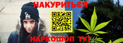 стаф Дубна