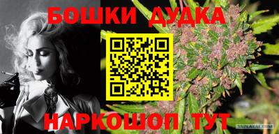 стаф Дубна
