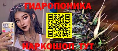 стаф Дубна