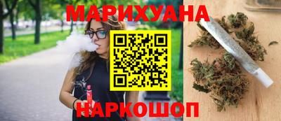 стаф Дубна