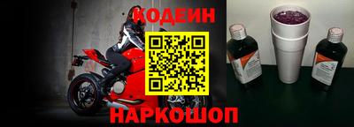 стаф Дубна