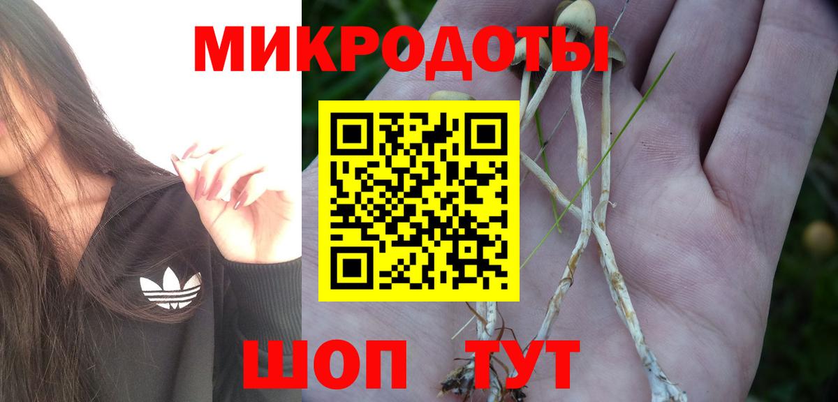 цена   Вход с VPN  Липецк  Псилоцибиновые грибы Magic Shrooms  Галлюциногенные грибы Cubensis 